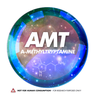 AMT Picture