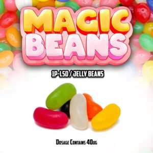 1P LSD Magic Beans Picture